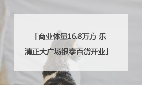 商业体量16.8万方 乐清正大广场银泰百货开业