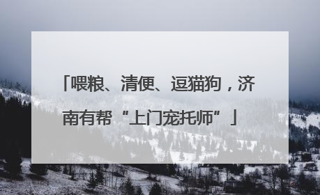 喂粮、清便、逗猫狗，济南有帮“上门宠托师”