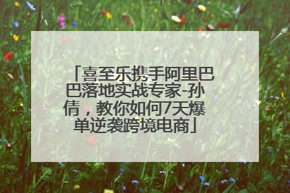 喜至乐携手阿里巴巴落地实战专家-孙倩，教你如何7天爆单逆袭跨境电商