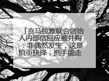 喜马拉雅联合创始人内部信回应被并购：非偶然发生，这是慎重抉择，携手能走更远更稳