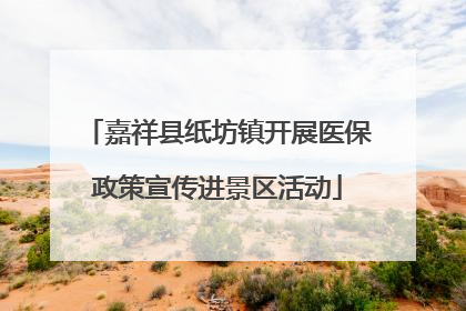 嘉祥县纸坊镇开展医保政策宣传进景区活动