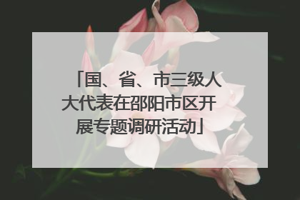 国、省、市三级人大代表在邵阳市区开展专题调研活动