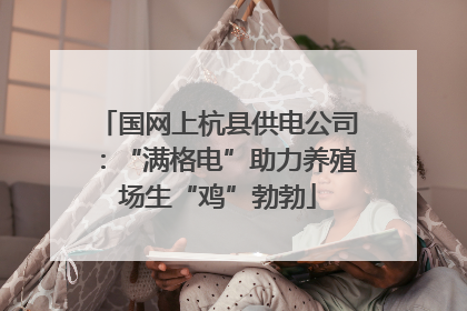 国网上杭县供电公司：“满格电”助力养殖场生“鸡”勃勃