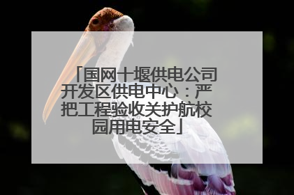 国网十堰供电公司开发区供电中心：严把工程验收关护航校园用电安全