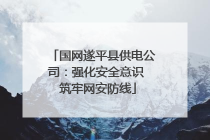 国网遂平县供电公司：强化安全意识 筑牢网安防线