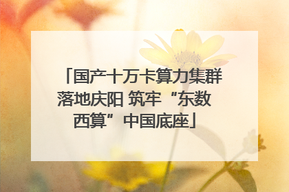 国产十万卡算力集群落地庆阳 筑牢“东数西算”中国底座