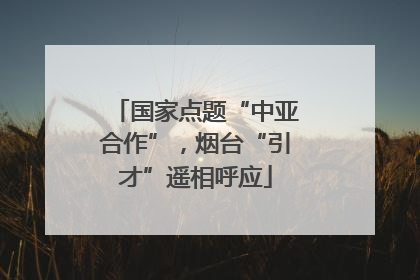 国家点题“中亚合作”，烟台“引才”遥相呼应