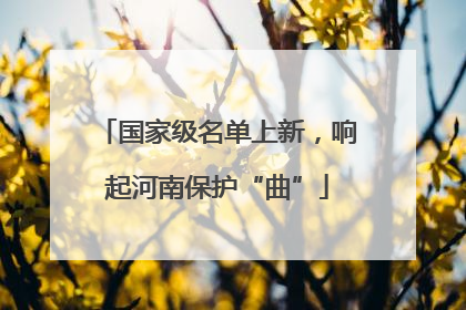 国家级名单上新，响起河南保护“曲”