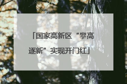 国家高新区“攀高逐新”实现开门红