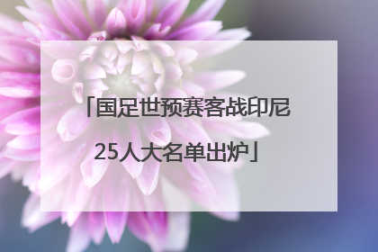国足世预赛客战印尼25人大名单出炉