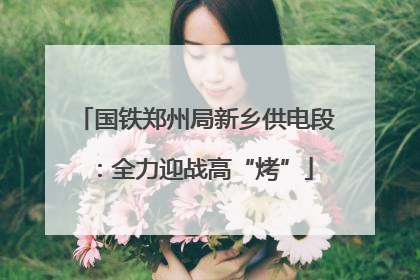 国铁郑州局新乡供电段：全力迎战高“烤”