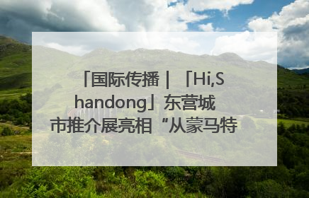国际传播｜「Hi,Shandong」东营城市推介展亮相“从蒙马特到加里波第”文化节