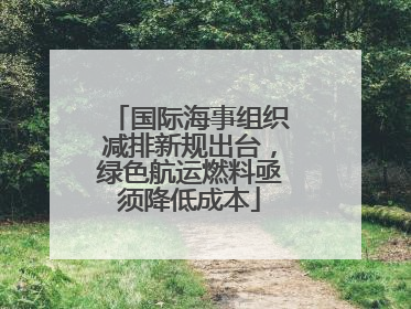 国际海事组织减排新规出台，绿色航运燃料亟须降低成本