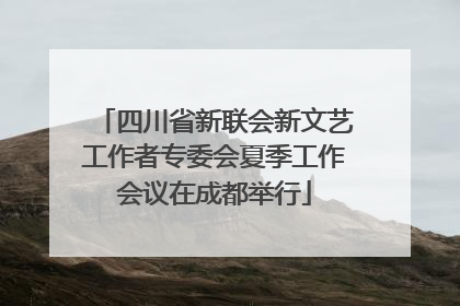 四川省新联会新文艺工作者专委会夏季工作会议在成都举行