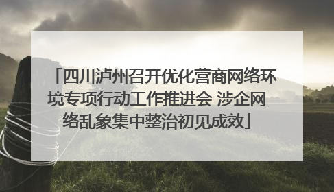 四川泸州召开优化营商网络环境专项行动工作推进会 涉企网络乱象集中整治初见成效