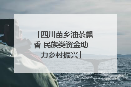 四川苗乡油茶飘香 民族类资金助力乡村振兴