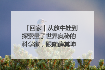 回家｜从放牛娃到探索量子世界奥秘的科学家，跟随薛其坤重访梦想起点