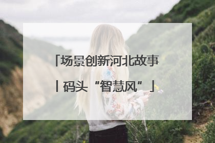 场景创新河北故事丨码头“智慧风”