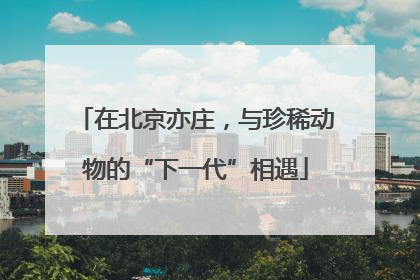 在北京亦庄，与珍稀动物的“下一代”相遇