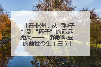 在非洲，从“种子”到“杯子”的遥远距离——一颗咖啡豆的前世今生（三）