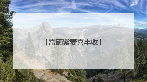 富硒紫麦喜丰收