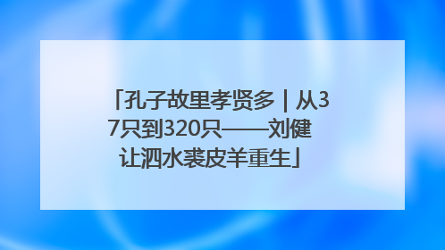 孔子故里孝贤多｜从37只到320只——刘健让泗水裘皮羊重生