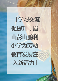 学习交流促提升，眉山彭山鹏利小学为劳动教育发展注入新活力