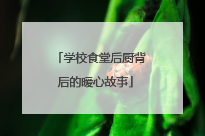 学校食堂后厨背后的暖心故事