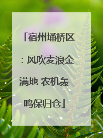 宿州埇桥区：风吹麦浪金满地 农机轰鸣保归仓