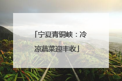 宁夏青铜峡：冷凉蔬菜迎丰收