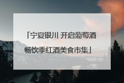 宁夏银川 开启葡萄酒畅饮季红酒美食市集