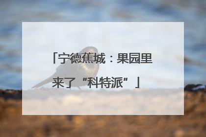 宁德蕉城：果园里来了“科特派”