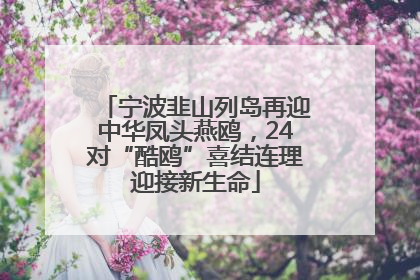 宁波韭山列岛再迎中华凤头燕鸥，24对“酷鸥”喜结连理迎接新生命