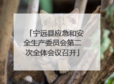 宁远县应急和安全生产委员会第二次全体会议召开