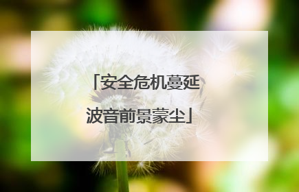 安全危机蔓延 波音前景蒙尘