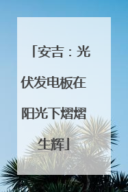 安吉：光伏发电板在阳光下熠熠生辉