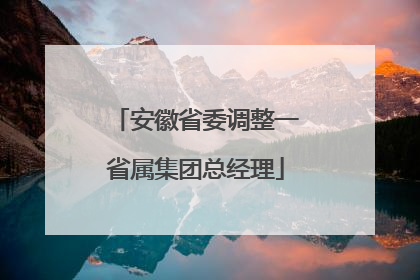 安徽省委调整一省属集团总经理