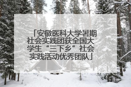 安徽医科大学暑期社会实践团获全国大学生“三下乡”社会实践活动优秀团队