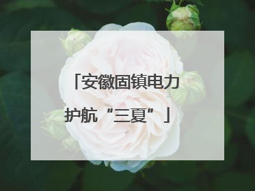 安徽固镇电力护航“三夏”