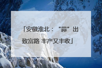 安徽淮北：“蒜”出致富路 丰产又丰收