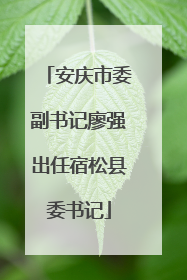 安庆市委副书记廖强出任宿松县委书记
