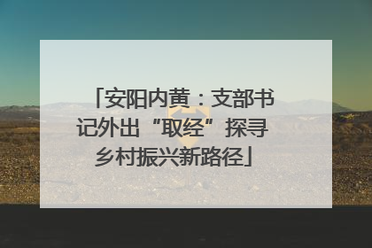 安阳内黄：支部书记外出“取经”探寻乡村振兴新路径