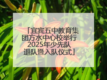 宜宾五中教育集团方水中心校举行2025年少先队退队暨入队仪式
