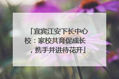 宜宾江安下长中心校：家校共育促成长，携手并进待花开