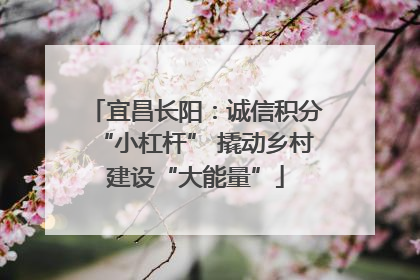 宜昌长阳：诚信积分“小杠杆” 撬动乡村建设“大能量”