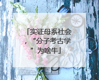 实证母系社会，“分子考古学”为啥牛