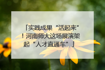 实践成果“活起来”！河南师大这场展演架起“人才直通车”