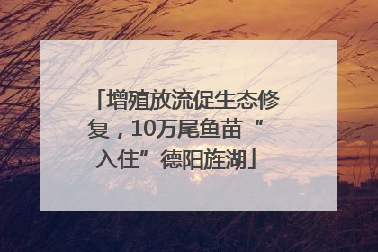 增殖放流促生态修复，10万尾鱼苗“入住”德阳旌湖