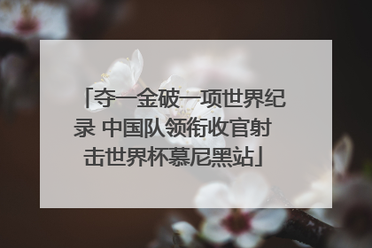 夺一金破一项世界纪录 中国队领衔收官射击世界杯慕尼黑站