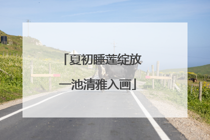 夏初睡莲绽放 一池清雅入画